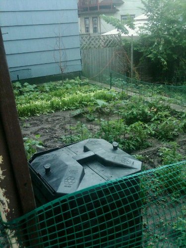 Small urban farm located in Nordeast Minneapolis.