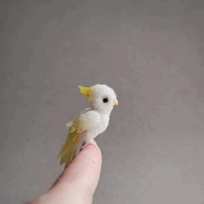 Cryptommb's profile picture. Crypto world