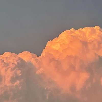 second20170603's profile picture. 