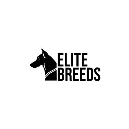 WORK AT LIGHTERS FINANCE AND ELITE BREEDS.