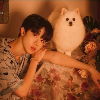 whipped for Kim Dadi and #GoldenChild Kim Donghyun