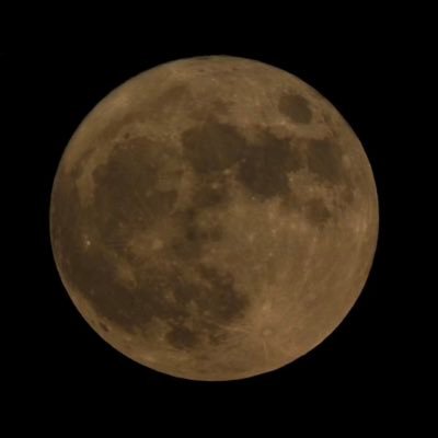 benzphalgunani's profile picture. 𓃵  4theluvofme