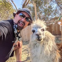 Matt Linton (@0xmatt) 's Twitter Profile