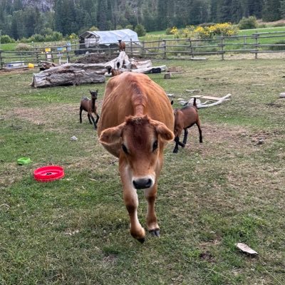 jane_smith82's profile picture. 💁🏼‍♀️