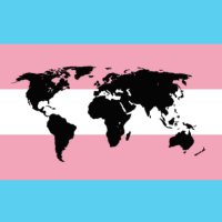 TRANS Worldwide 🏳️‍⚧️ TRANS Are Human(@TRANSWorldAll) 's Twitter Profile Photo