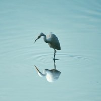 Q (@q_photograph) 's Twitter Profile Photo