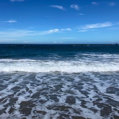 S07bRML8oXL69nY's profile picture. 