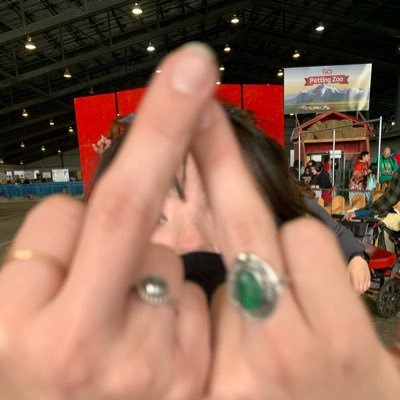 rraavveennnn's profile picture. personality: dad jokes