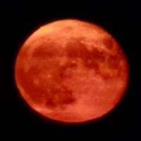 ⎔Hexternal Pulse (@hexternalpulse) 's Twitter Profile