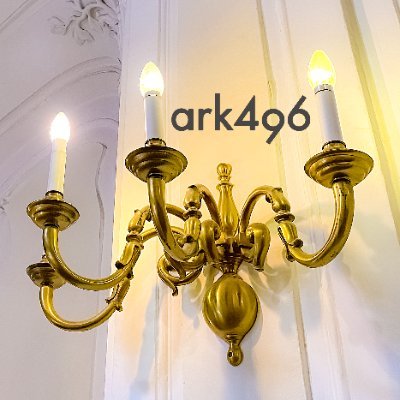 ark_496 Profile Picture
