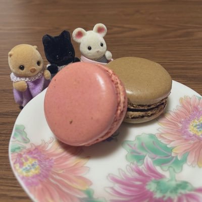 msmr_0831_2's profile picture. 取引用垢 25↑ 本垢→@msmr_0831