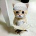 barbieasel (@barbiease) Twitter profile photo barbieasel (@barbiease) Twitter profile photo