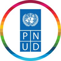 ONU Desarrollo(@pnud) 's Twitter Profile Photo