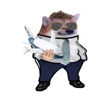 Markus L. 🇩🇪🇪🇺🇺🇦 Flying Fella #NAFO (@markus_aviator) Twitter profile photo