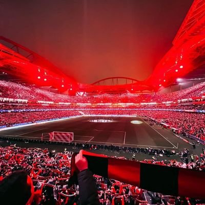 Red or Dead 🔴⚪

Sou do Benfica
Isso me envaidece 🦅🦅
