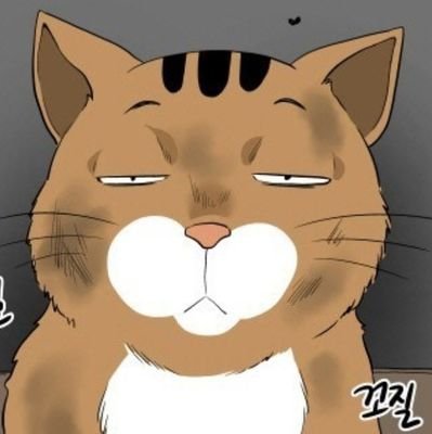 drumman13055826's profile picture. 