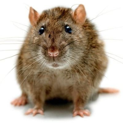 TorbenHendrik87's profile picture. 