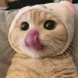 kyeahoo's profile picture. fan account💙