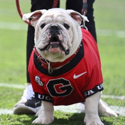 Dawgs5524's profile picture. 