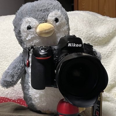 むぎゅ~さんのプロフィール画像