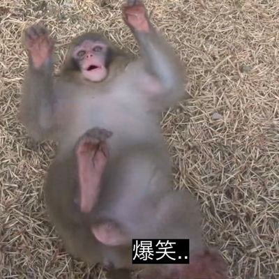 OSHIRI_chang's profile picture. 