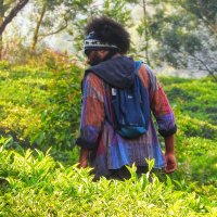 Dhanesh Ponnu (@dhanesh_ponnu) 's Twitter Profile