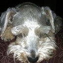 Sharon Ortiz - @sharongortiz - Twitter