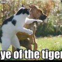 Jason Barbee - @BarbeeJason - Twitter