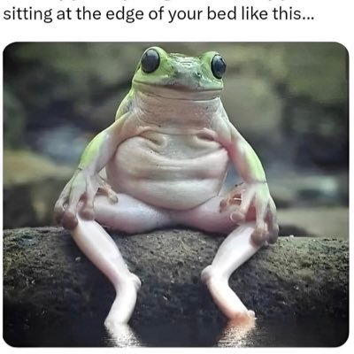 Angryyettie's profile picture. please no DMs