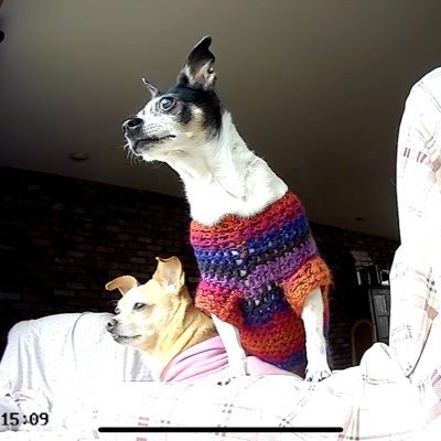 MandyLizzie2415's profile picture. 