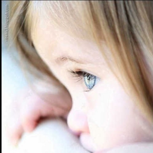 dodi_mis's profile picture. 