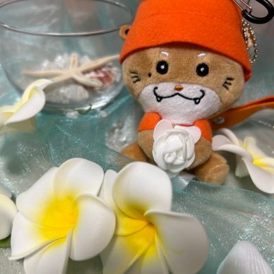 イ カさんのプロフィール画像