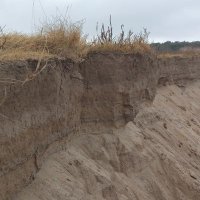 soils (@soils20) 's Twitter Profile Photo soils (@soils20) 's Twitter Profile Photo