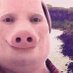 jhon pork (@perrosamche) Twitter profile photo jhon pork (@perrosamche) Twitter profile photo