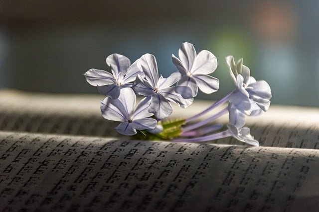 BrynnEttri16766's profile picture. 