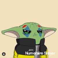 wpmyzttrxvandu's profile picture. -nft designer -opensea
