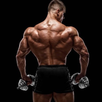 ➤Bodybuilding is Our Aim 
➤fashion is Our Goal
➤Living is Our  Style
➤BTS
➤Cat