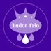 The Tudor Trio (@TheTudorTrio) Twitter profile photo