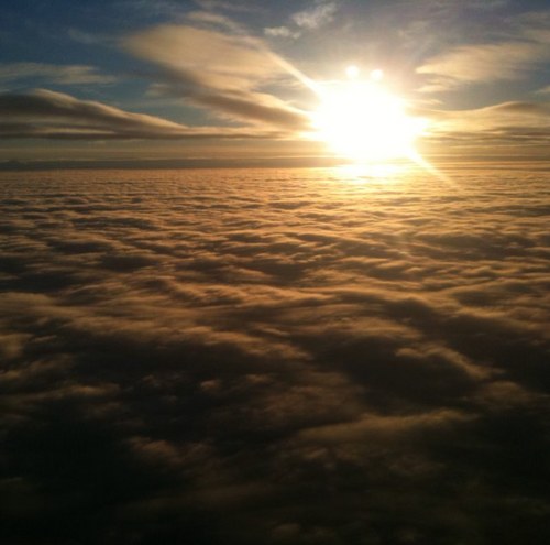 padtango's profile picture. 