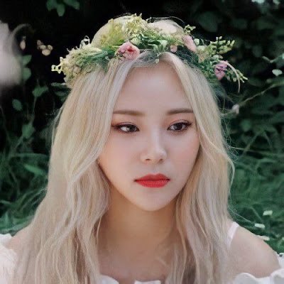 HiHi2200022's profile picture. 