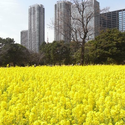 フランス及びフランス語が好きな方との情報・意見交換を望みます。
フランス及び欧州の政治・外交・文化・社会問題に関心あり。フランス文学、フランス映画も好みます。