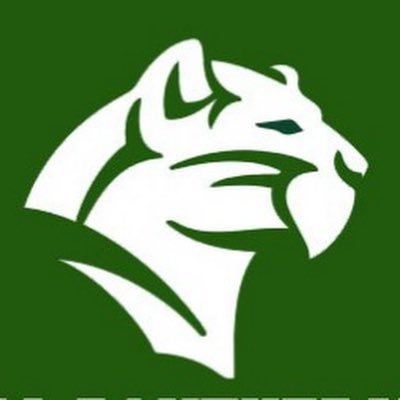 Official Twitter page of the Pioneer Panthers football team