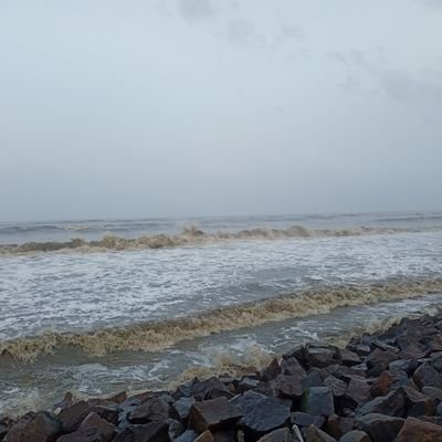 Nithish43306031's profile picture. Everything is an Art