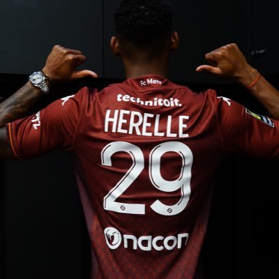Christophe HERELLE Profile