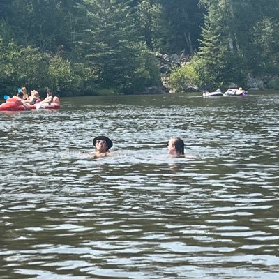 cjprctr's profile picture. certified silly goose