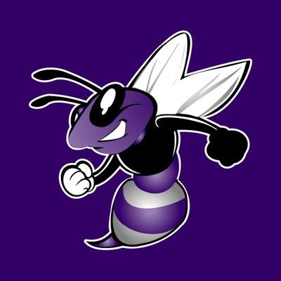 DCMS_hornets Profile Picture