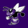 DCMS_hornets's profile picture. 
