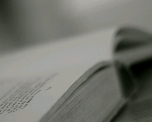 ksojeo's profile picture. 다른 시선..