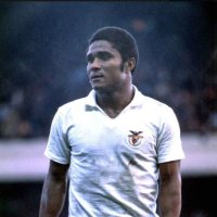 JoaoSeleiro (@seleiro_joao) 's Twitter Profile Photo JoaoSeleiro (@seleiro_joao) 's Twitter Profile Photo