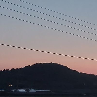 GJS07123's profile picture. 응애